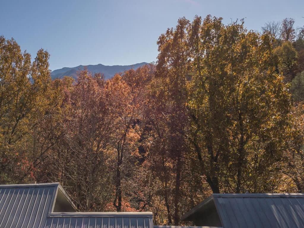 Sasquatch Lodge E Sleeps 13 Gatlinburg Exterior photo
